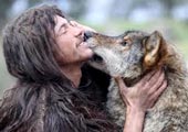 Entre lobos