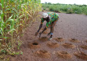 Burkina-Faso-Climate-Change-Attribution-NonCommercial-ShareAlike