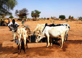 Burkina-Faso-Oxfam-Jean-Kebere-Attribution-NonCommercial-NoDerivs