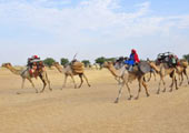 chad-nomads-United-Nations-Attribution-NonCommercial-ShareAlike