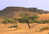 mauritania-adrar-manu25-cc-by