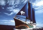 SV Rainbow Warrior Original (Hundido en Francia , 1985) SV Rainbow Warrior (II)(en uso actualmente) MV ArcSV Rainbow Warrior Original (Hundido en Francia , 1985) SV Rainbow Warrior (II)(en uso actualmente) MV Arctic Sunrise (en uso actualmente) MV Esperanza (el ms nuevo de la flota, en uso actualmente) MV Beluga (retirado) MV Altair (retirado) MV Greenpeace (retirado, su reemplazo fue el Esperanza) MV Solo (retirado) MV Sirius (retirado) MV Argus (en uso pero solamente en Holanda) MV Amazon Guardian (en uso pero solamente en el amazonas) SV Vega (retirado) MV Moby Dick (retirado) SV Zorba (en uso actualmente)